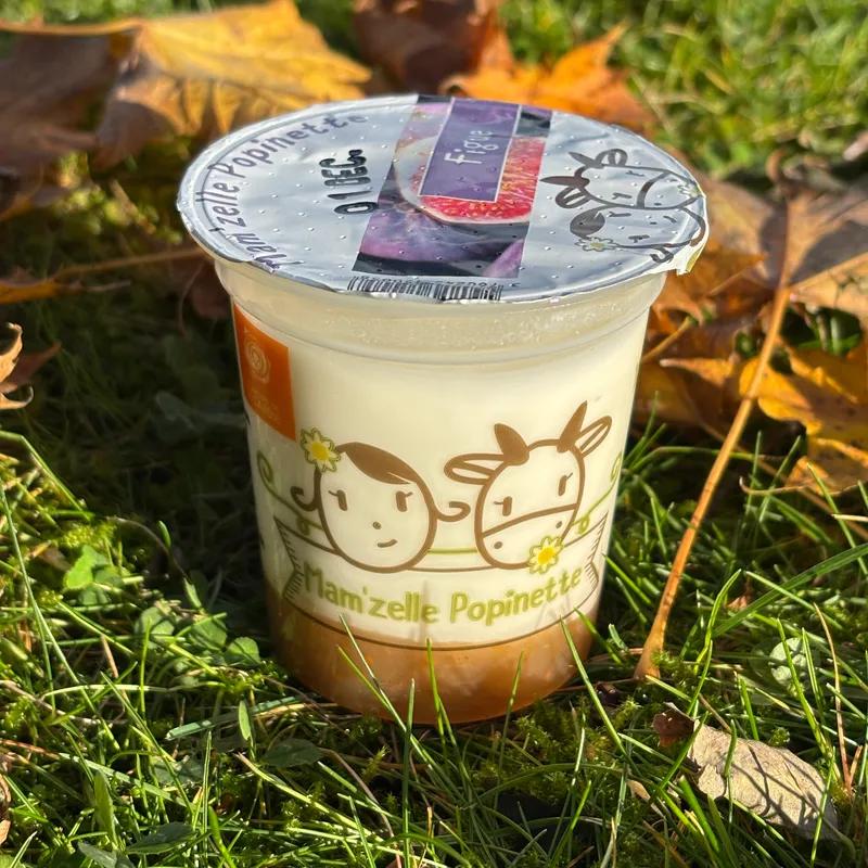 BRASSE SUR LIT DE FRUIT : FIGUE - Mam'zelle Popinette