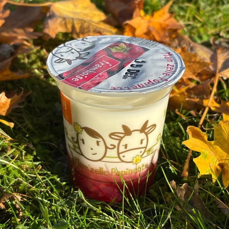 BRASSE SUR LIT DE FRUIT : FRAMBOISE - Mam'zelle Popinette