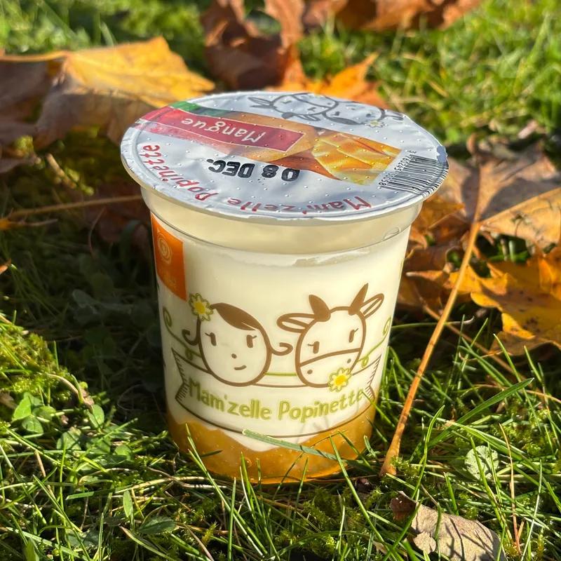 BRASSE SUR LIT DE FRUIT : MANGUE - Mam'zelle Popinette