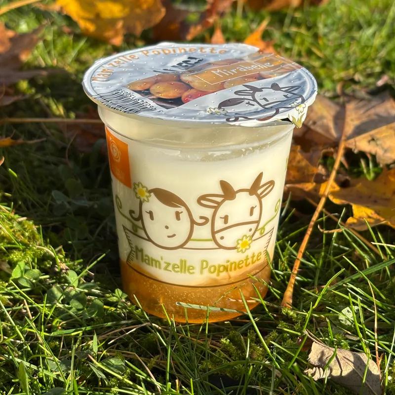 BRASSE SUR LIT DE FRUIT : MIRABELLE - Mam'zelle Popinette