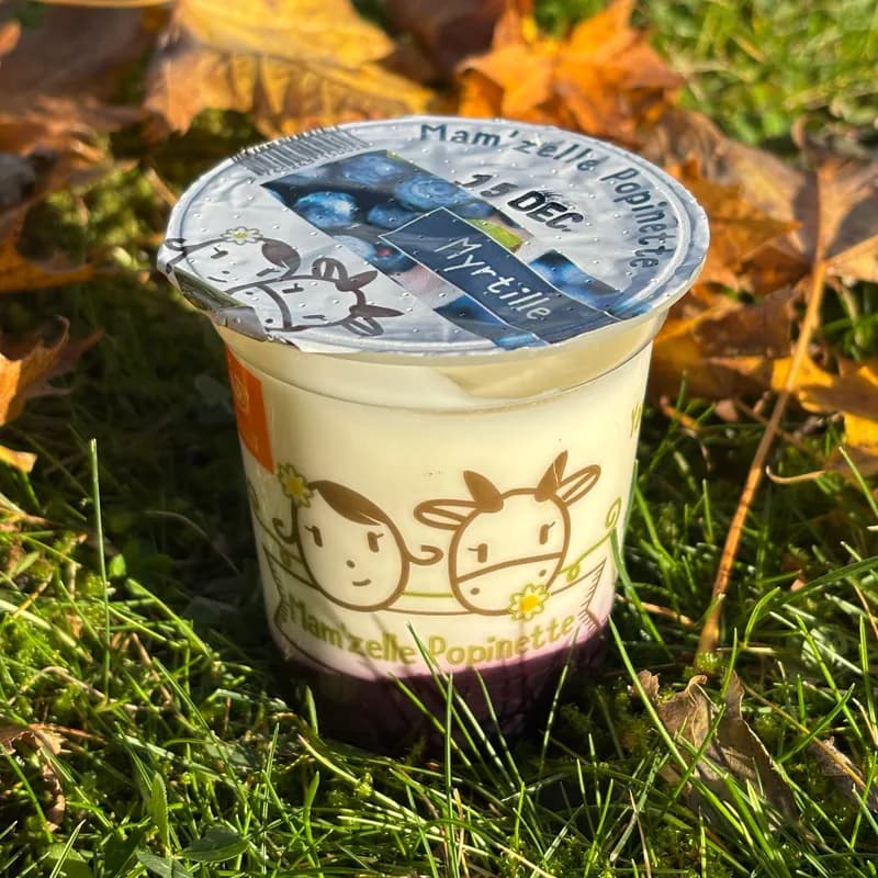 BRASSE SUR LIT DE FRUIT : MYRTILLE - yaourt fermier Mam'zelle Popinette