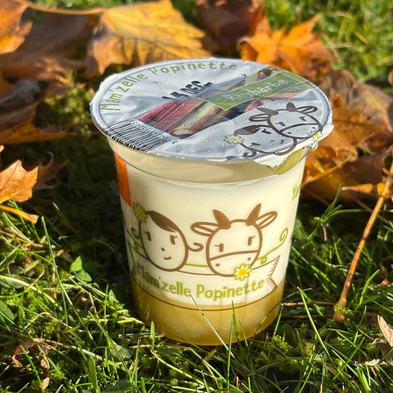 BRASSE SUR LIT DE FRUIT : RHUBARBE - yaourt fermier Mam'zelle Popinette