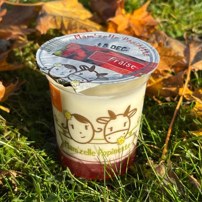 BRASSE SUR LIT DE FRUITS : FRAISE